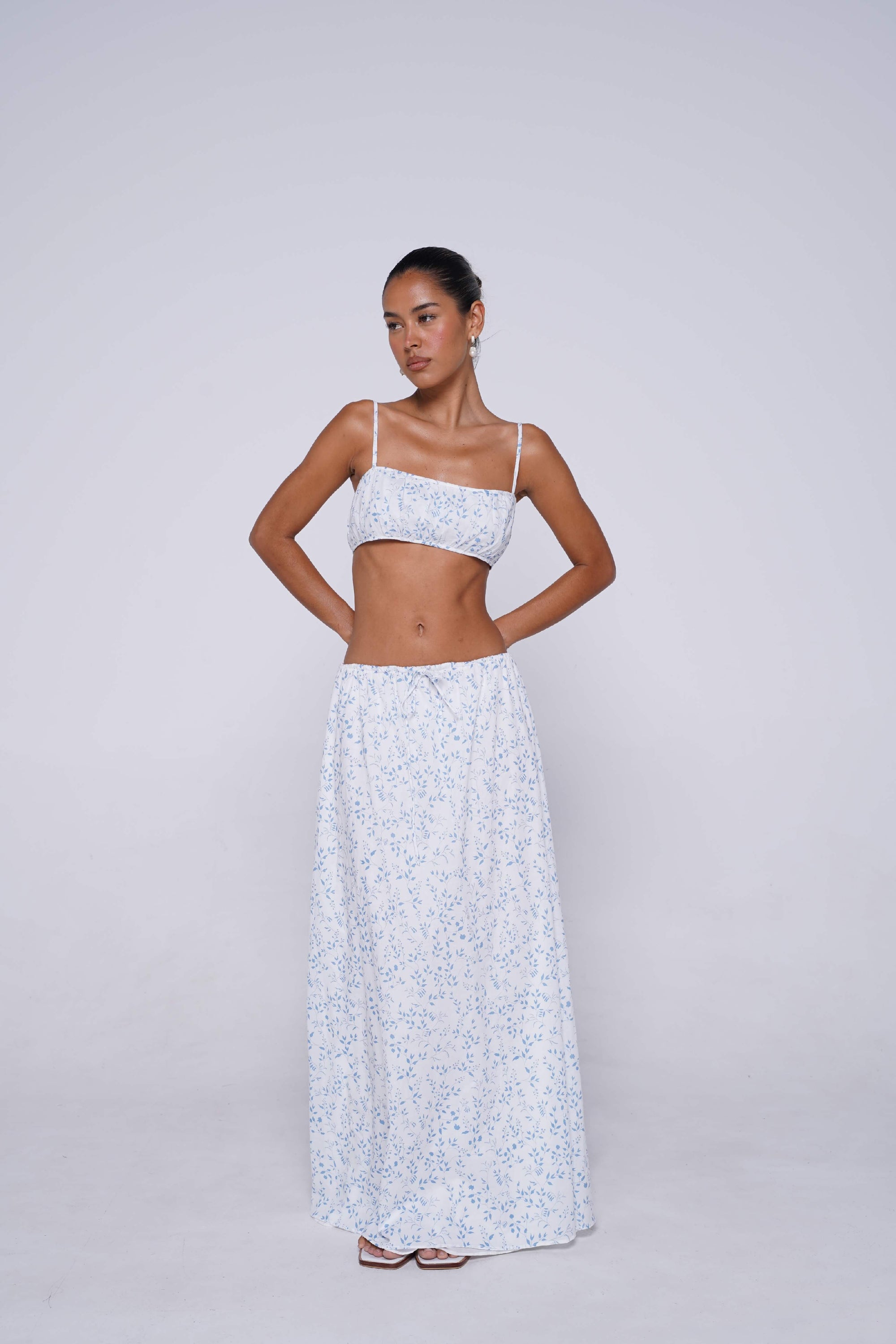 Alice Skirt in Josephine Blue