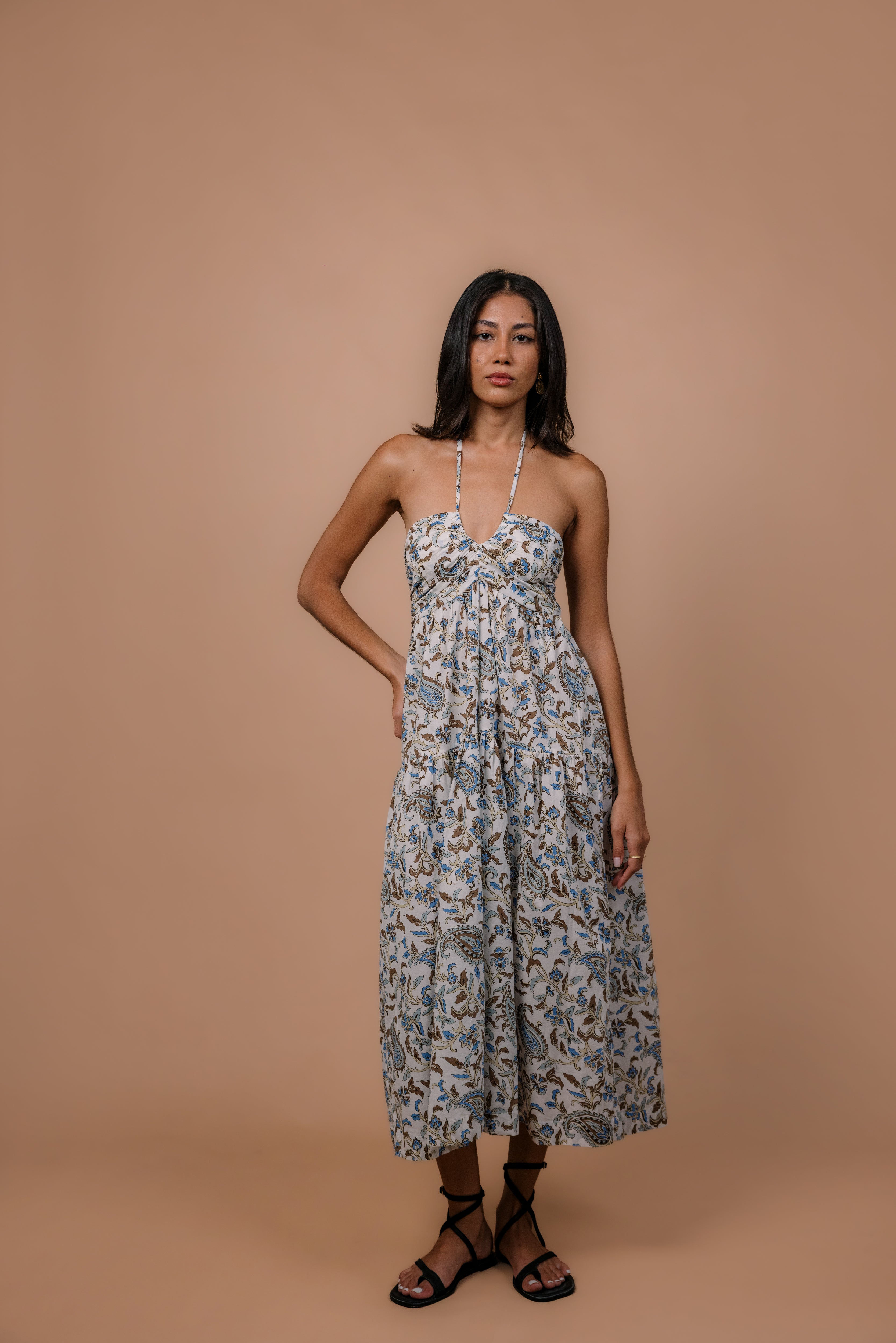Ilia Midi Dress in Paisley Blue Chocolate