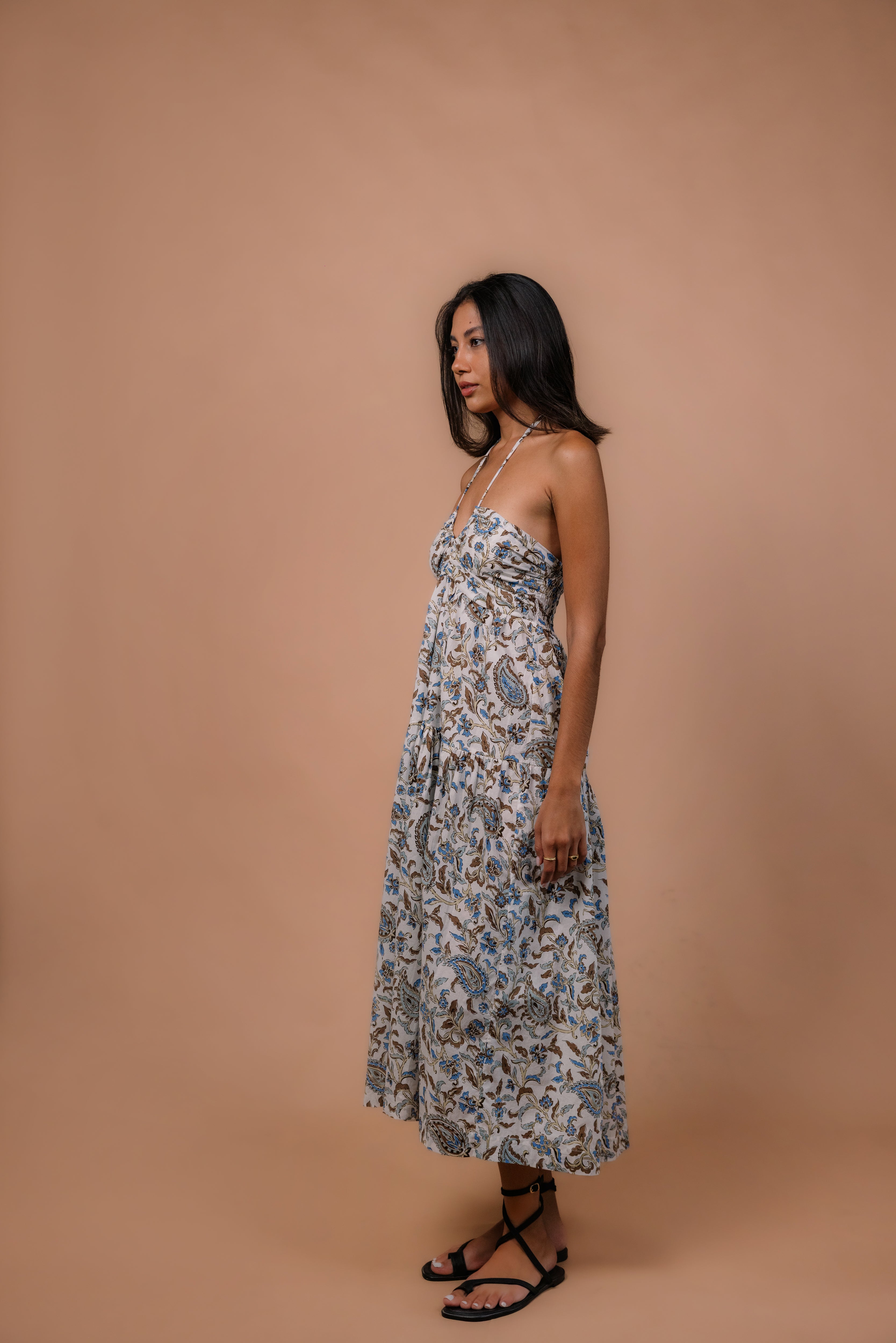 Ilia Midi Dress in Paisley Blue Chocolate